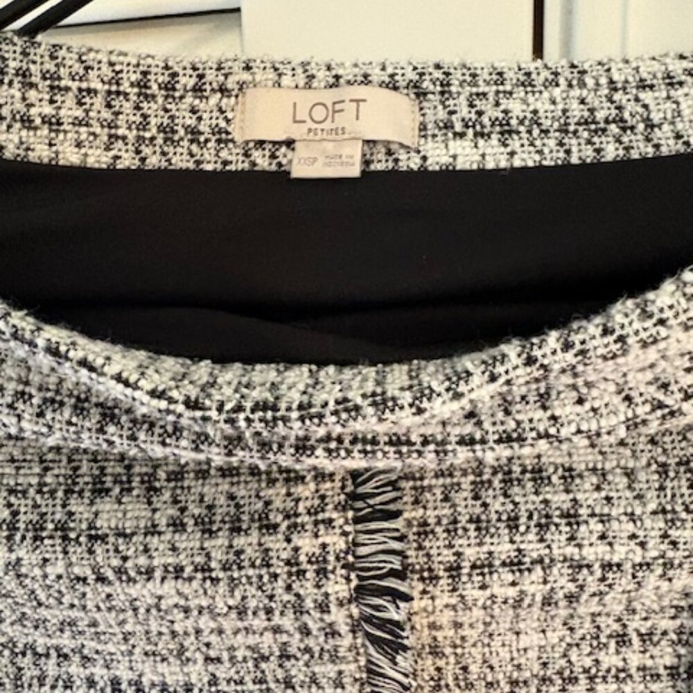 Ann Taylor Skirt